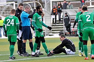 Faul na tefana Zoka |  autor: Rudolf Makurica