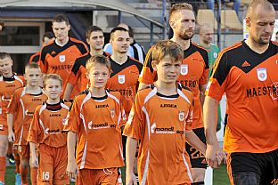 Nstup domcich |  autor: Rudolf Makurica