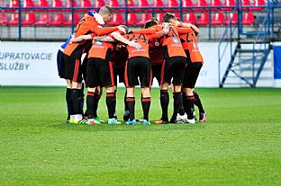 Dom�ci hr��i pred z�pasom. |  autor: Rudolf Ma�kurica