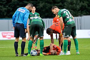 Zranenie domceho hra. |  autor: Rudolf Makurica