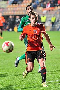 tefan Gerec |  autor: Rudolf Makurica