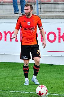 Tom ubek |  autor: Rudolf Makurica