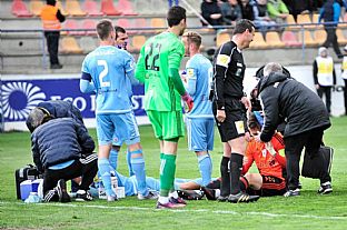 Oetrovanie hrov |  autor: Rudolf Makurica