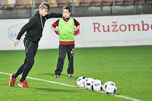 Sa v triafan brvna cez prestvku medzi polasmi. |  autor: Rudolf Makurica