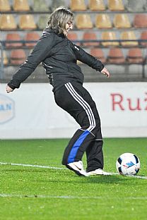 Sa v triafan brvna cez prestvku medzi polasmi. |  autor: Rudolf Makurica