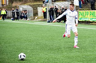 David apek |  autor: Rudolf Makurica