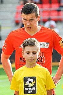 Artur Pikk |  autor: Rudolf Makurica