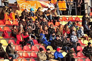 Rodinn sektor |  autor: Rudolf Makurica