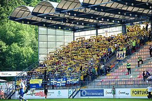 Sektor host |  autor: Rudolf Makurica