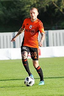 Branislav uptk |  autor: Rudolf Makurica