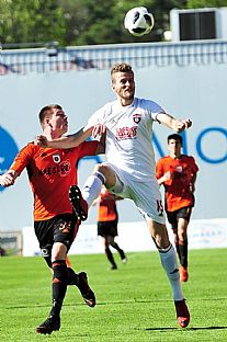 David apek |  autor: Rudolf Makurica