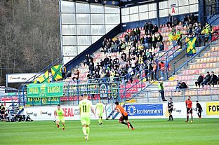 Fanikovia iliny |  autor: Rudolf Makurica