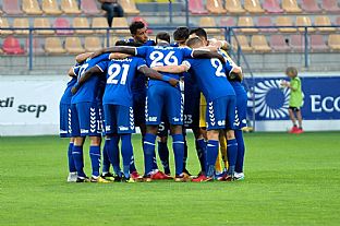 Senica pred zpasom |  autor: Rudolf Makurica