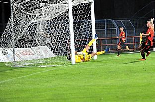 Peter Gal Andrezly dva gl |  autor: Rudolf Makurica