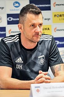 David Holoubek |  autor: Rudolf Makurica