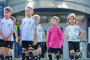 mldenci |  autor: Rudolf Makurica