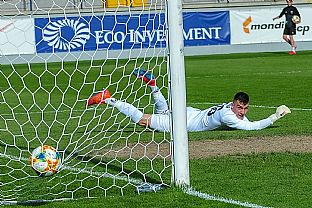 Gl |  autor: Rudolf Makurica