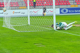 Gl tefana Gereca |  autor: Rudolf Makurica