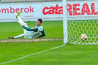 Gl Zinedina Mustedanagia |  autor: Rudolf Makurica