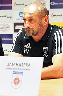Jn Haspra |  autor: Rudolf Makurica