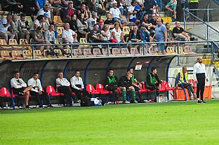 Domca lavika |  autor: Rudolf Makurica