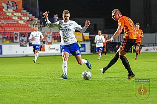 Peter ungel |  autor: Rudolf Makurica