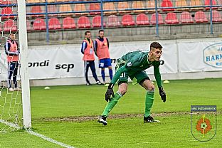 Michal Trnovsk |  autor: Rudolf Makurica