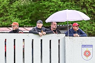 Fanikovia za plotom |  autor: Rudolf Makurica