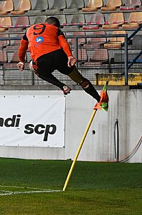 Martin Regli po gle |  autor: Rudolf Makurica