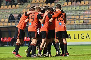 Rados po gle Mateja Kochana. |  autor: Rudolf Makurica