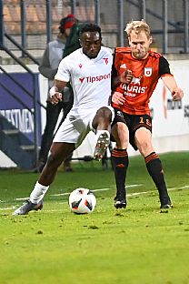 Luk Fabi |  autor: Rudolf Makurica