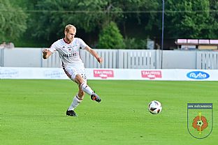 Luk Fabi |  autor: Rudolf Makurica