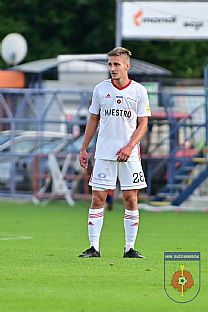 Alexander Seleck |  autor: Rudolf Makurica