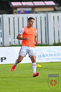 Alexander Moji |  autor: Rudolf Makurica