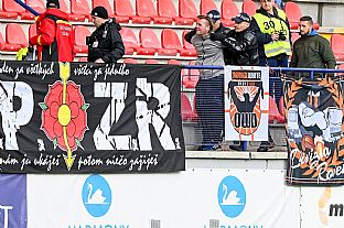 Zadran divk |  autor: Rudolf Makurica