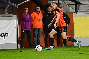 Luk Fabi |  autor: Rudolf Makurica