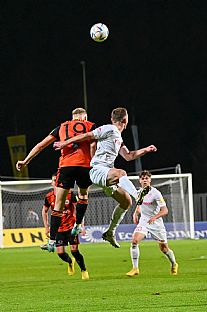 Luk Fabi |  autor: Rudolf Makurica