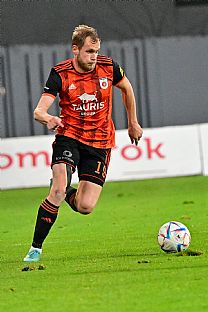 Luk Fabi |  autor: Rudolf Makurica