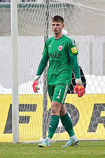 Dominik apaj |  autor: Rudolf Makurica