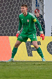 Dominik apaj |  autor: Rudolf Makurica