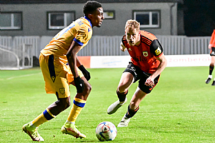 Luk Fabi |  autor: Rudolf Makurica