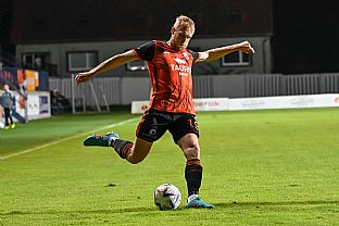 Luk Fabi |  autor: Rudolf Makurica