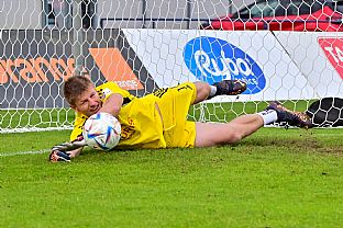 Dominik apaj |  autor: Rudolf Makurica