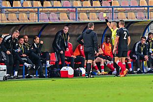 Lavika host |  autor: Rudolf Makurica