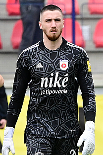 Ivan Kraj��rik |  autor: Rudolf Ma�kurica