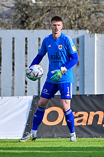 Dominik apaj |  autor: Rudolf Makurica