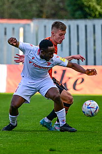 Alexander Seleck |  autor: Rudolf Makurica