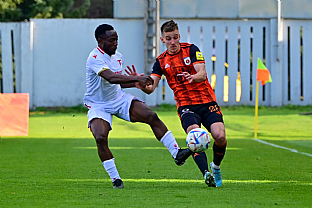 Alexander Seleck |  autor: Rudolf Makurica