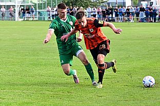 Alexander Seleck |  autor: Rudolf Makurica