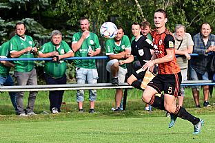 Mrio Mrva |  autor: Rudolf Makurica